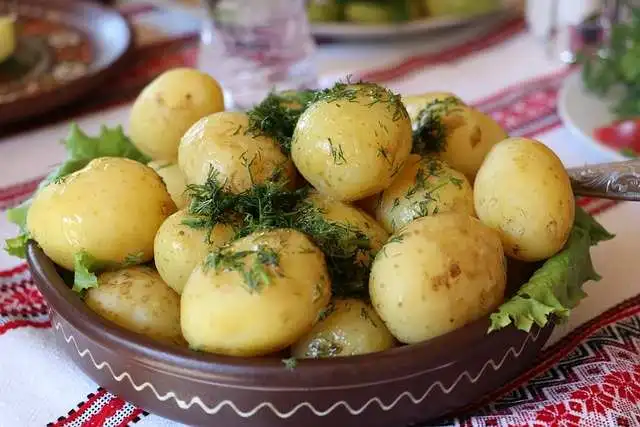 Carbohidratos