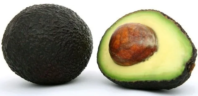 Aguacate