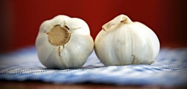 Ajo