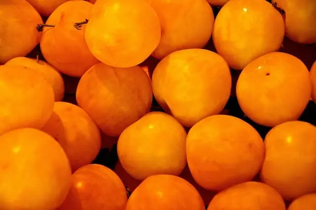 Albaricoque