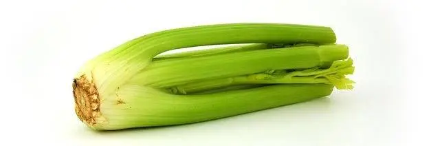 Apio
