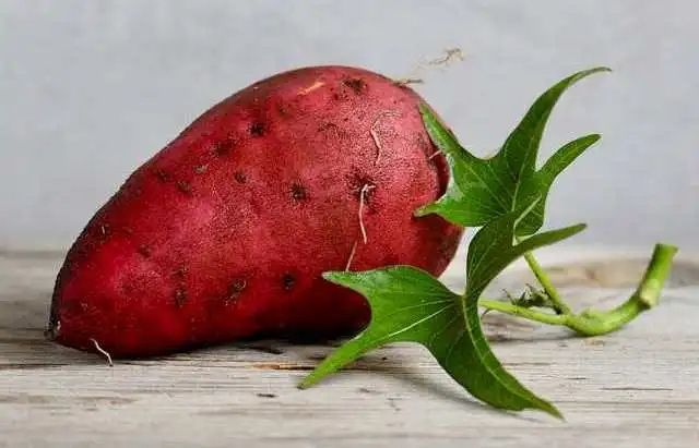 Vitamina A