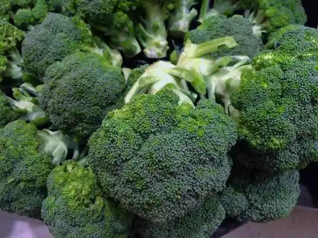 Vitamina B5