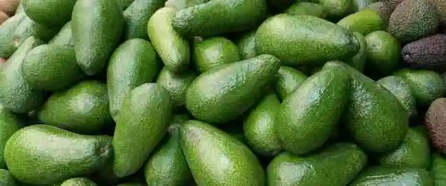 Vitamina H