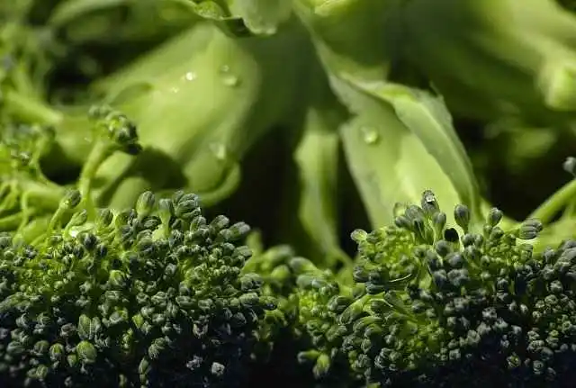 Vitamina K