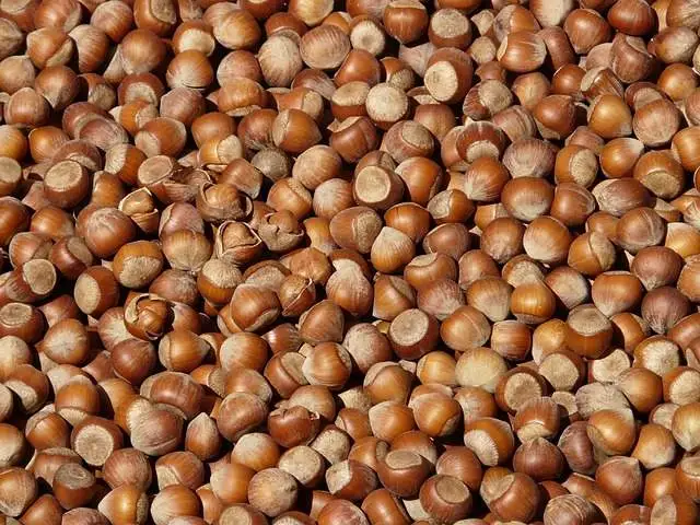 Avellanas