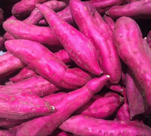Batatas