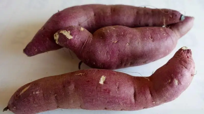 Batatas