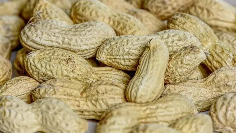 10 Beneficios de los Cacahuates