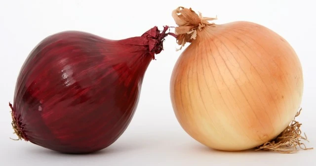 Cebolla