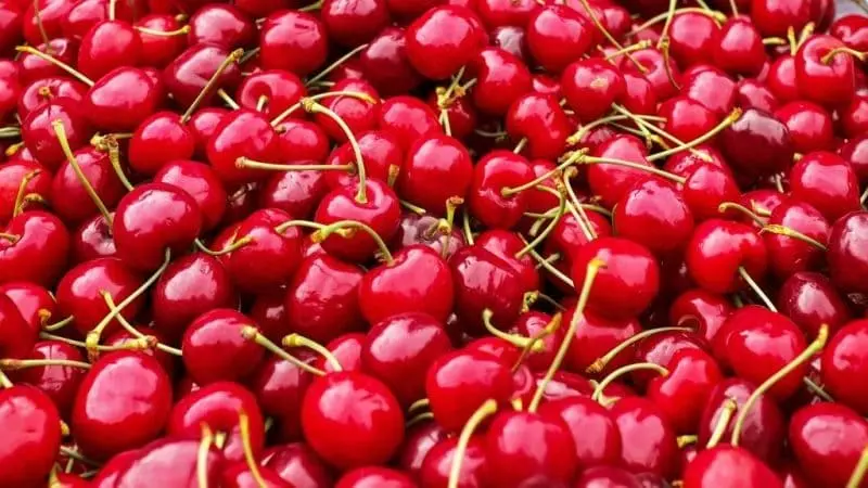 Cerezas