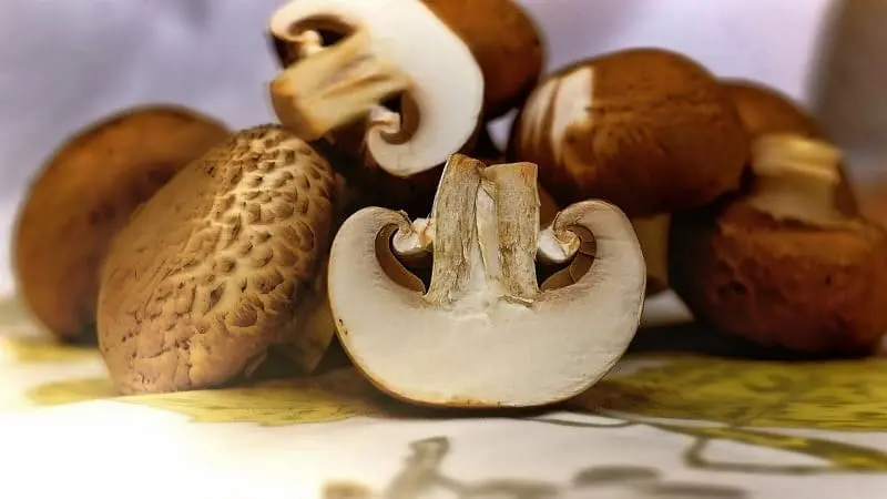 Champiñones