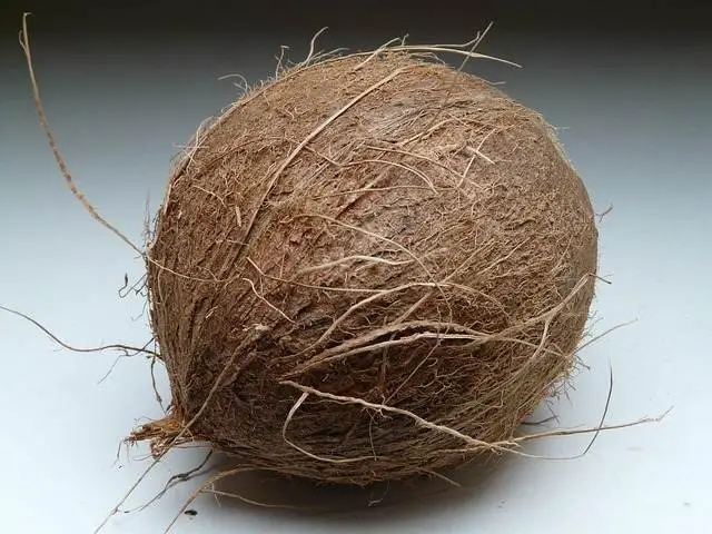 Coco