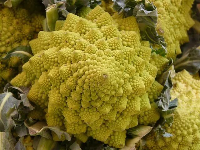 Col Romanesco