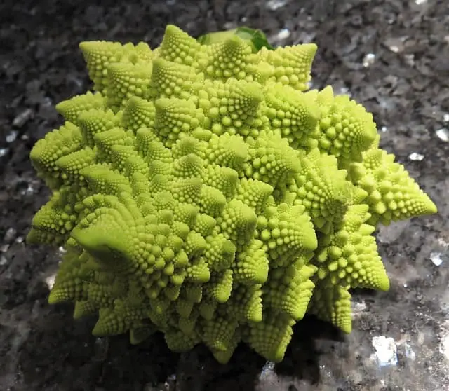 Col Romanesco