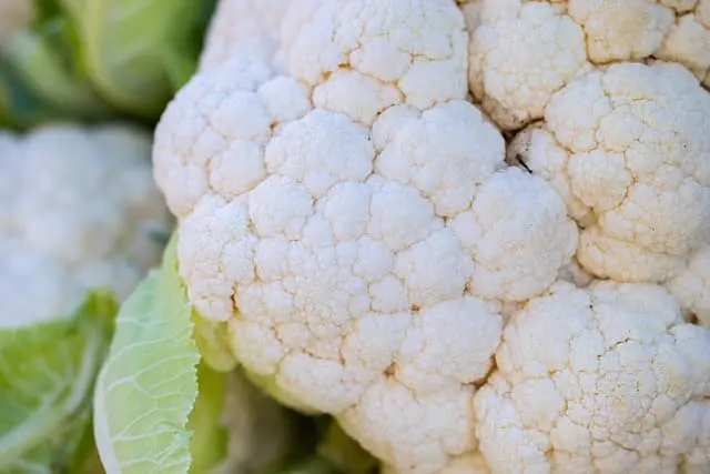 Coliflor