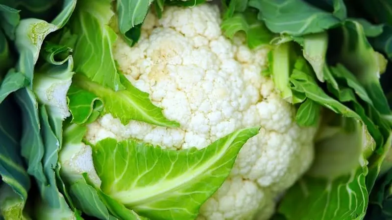 Coliflor