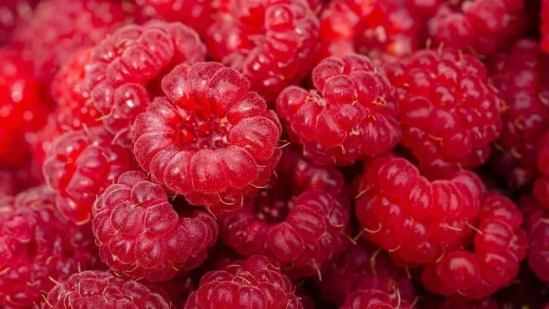 Frambuesas