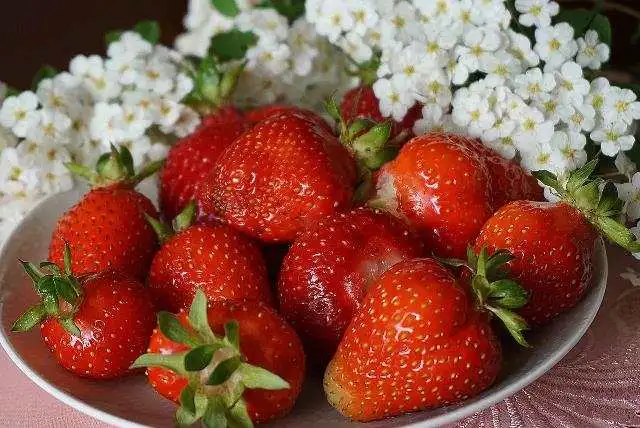 Fresas