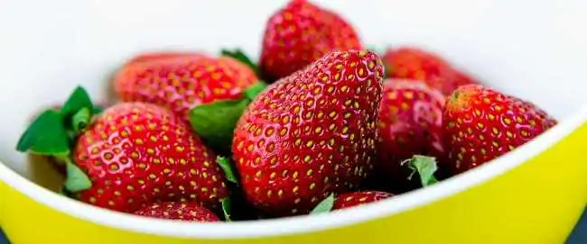 Fresas