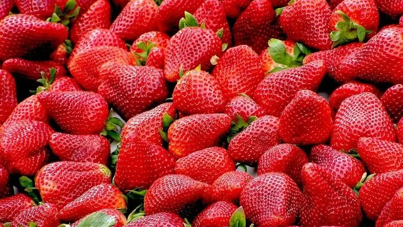 Fresas