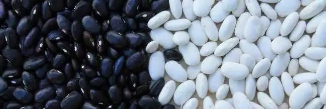 Frijoles