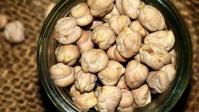 Garbanzos