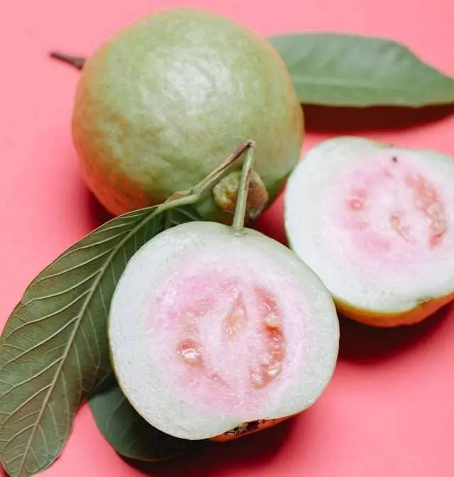 Guayaba