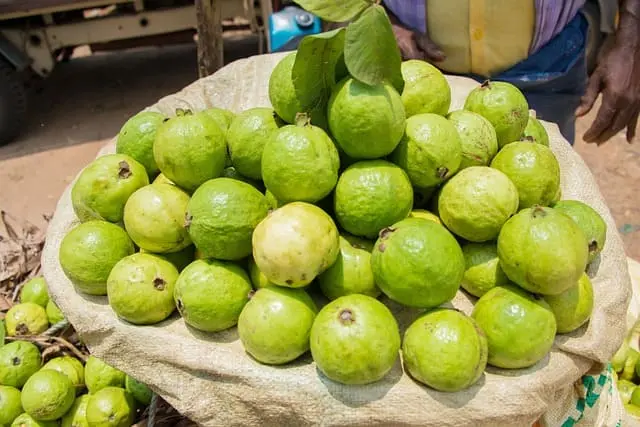Guayaba
