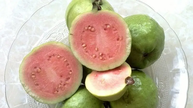 Guayaba