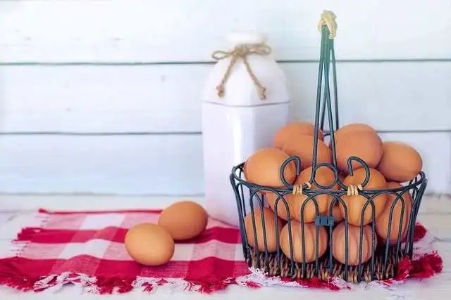 Huevos