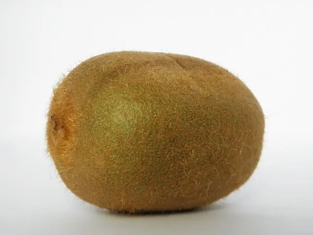 Kiwi