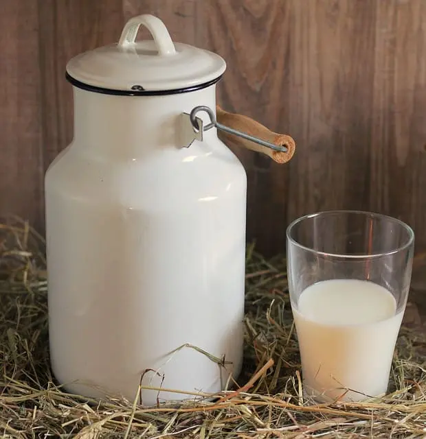 Leche