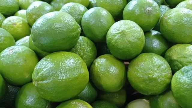 Limones
