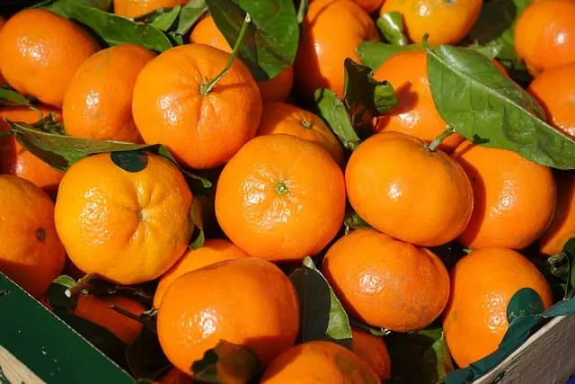 Mandarina