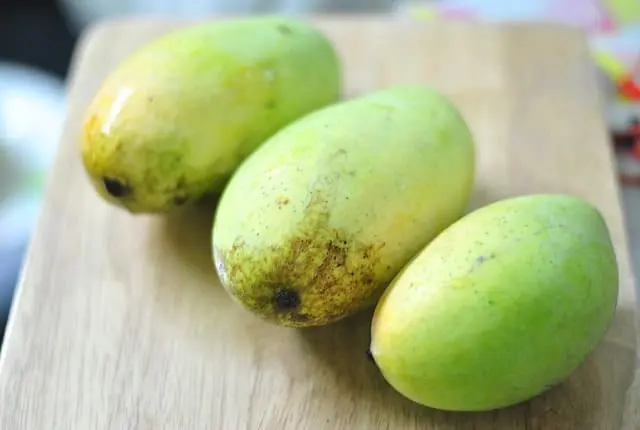 Mango