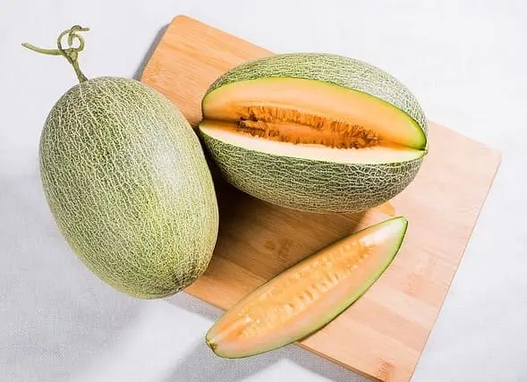 Melón