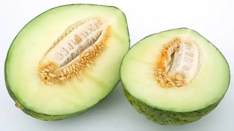 Melón