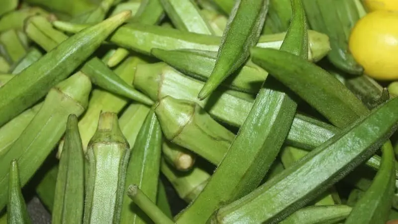 Okra