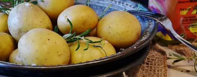 Papas