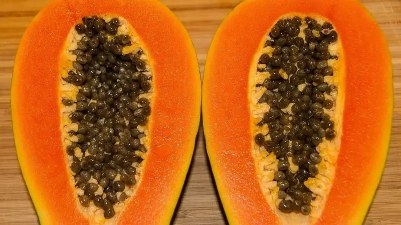 Papaya