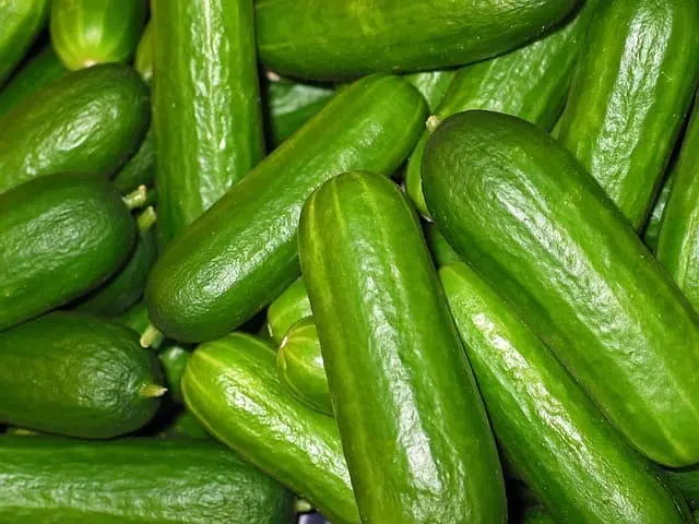 Pepino