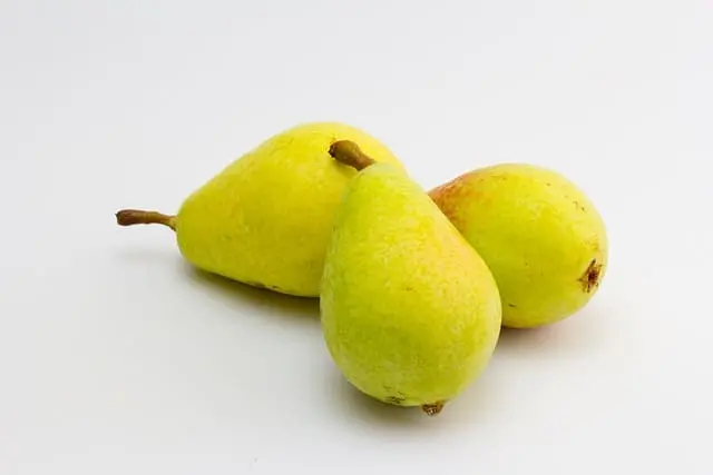 Pera