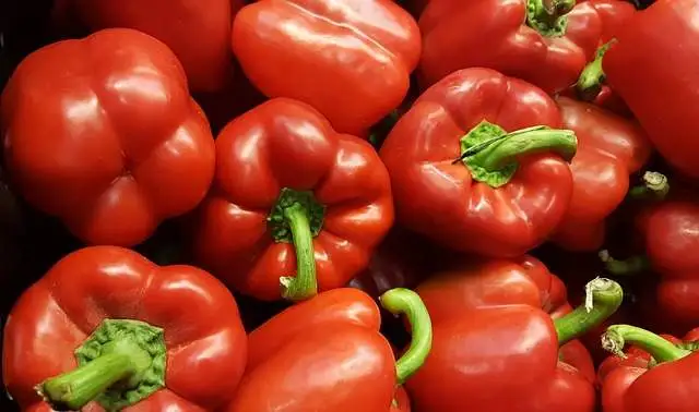 Pimiento