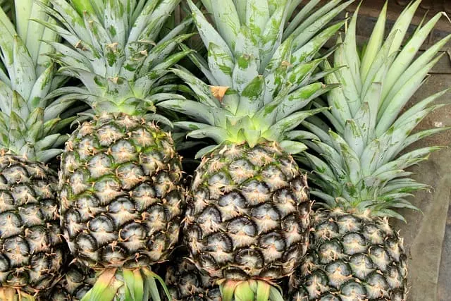 Piña