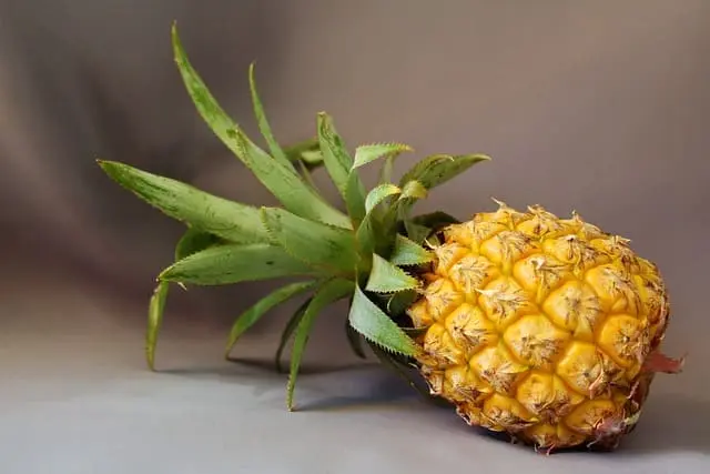 Piña
