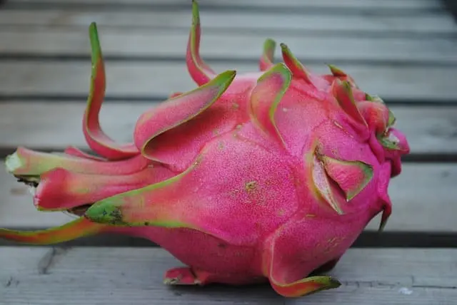 Pitahaya