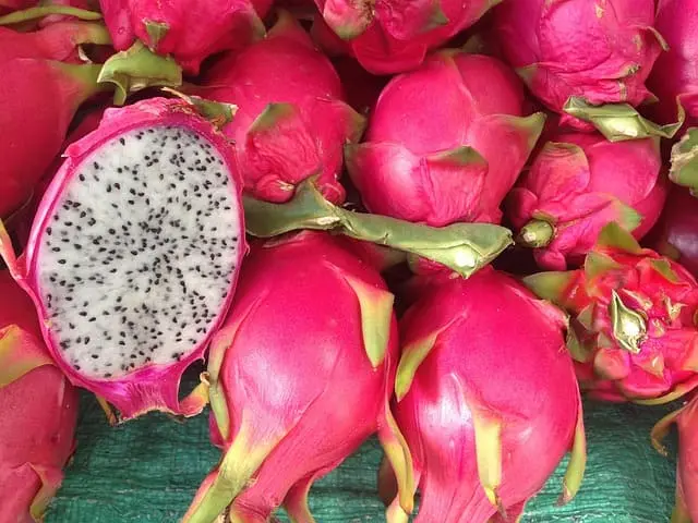Pitahaya