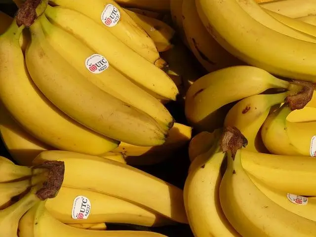 Plátano