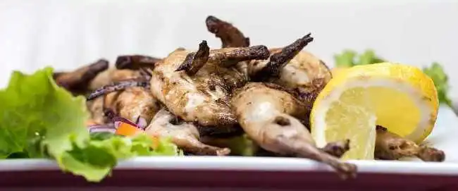 Pollo